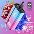 Stag Bar Gemini 30000 Vape Vape Borong
